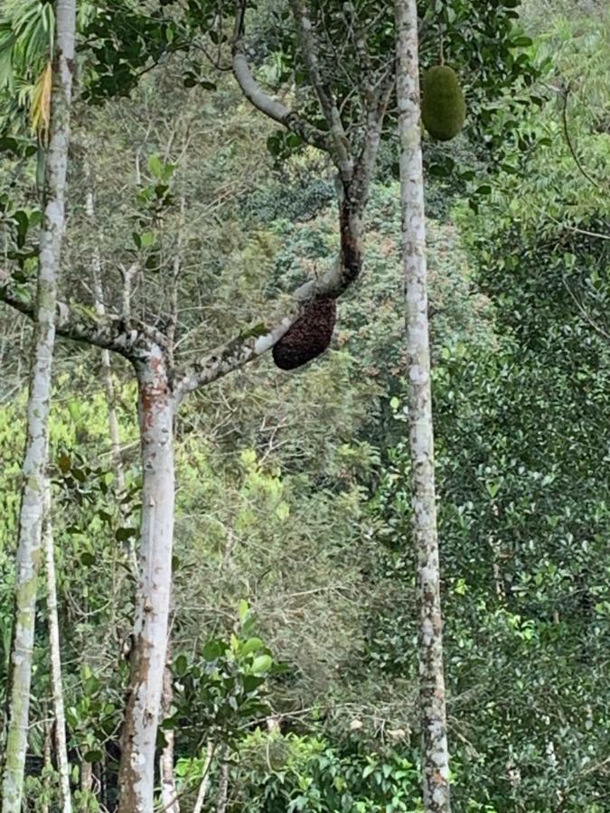 L&G Riverview Haven. Vandiperiyar ภายนอก รูปภาพ